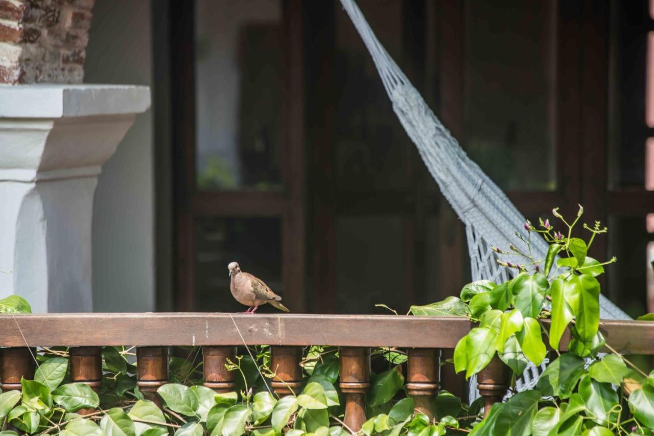 Hotel Boutique Casa Del Arzobispado Cartagena Eksteriør bilde